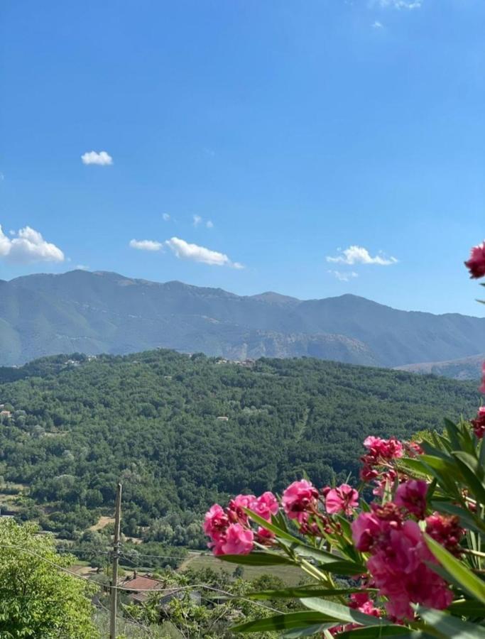 B&B Il CampanileVicalvi エクステリア 写真